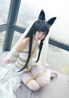 恰同学少年在线观看免费完整版